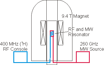 Schema of HF-DNP-Spectrometer